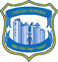 drimnagh castle image